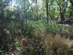 E Cavanaugh Rd (No Street Frontage), Lansing, MI