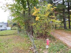 E CAVANAUGH RD