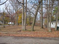 Leslie St (1036), Lansing, MI