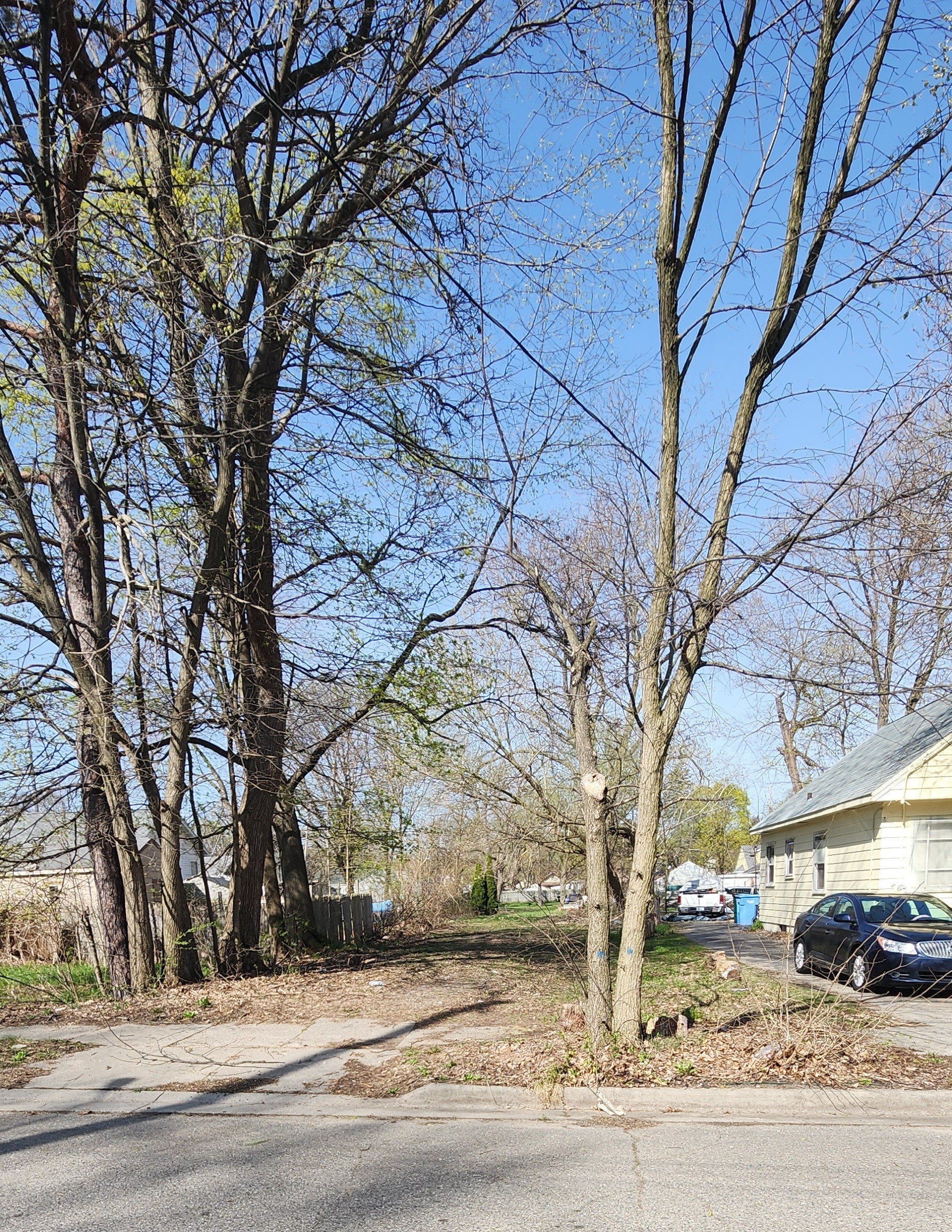 Roseneath Avenue