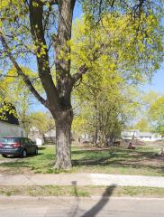 Knollwood (1523), Lansing, MI