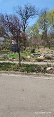 S Magnolia Ave