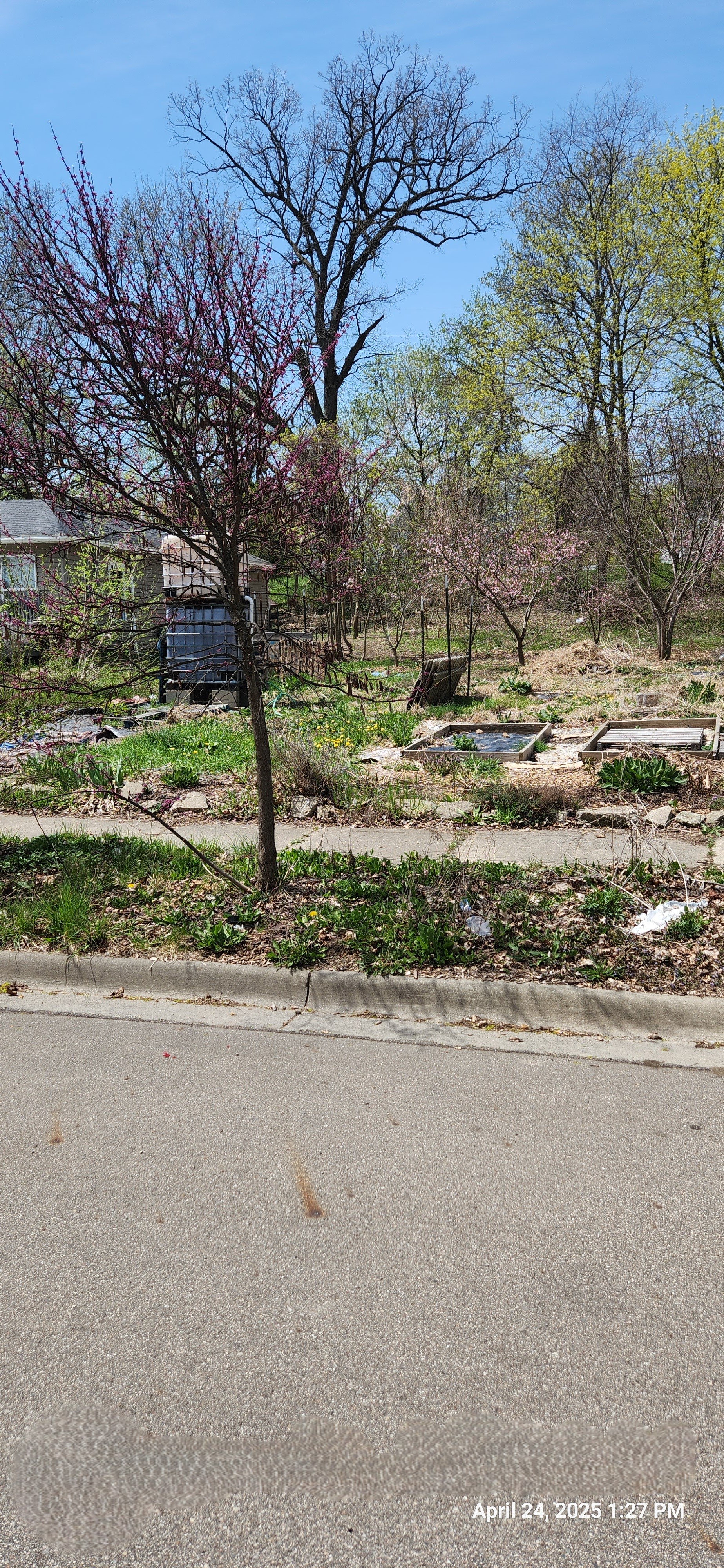 S Magnolia Ave