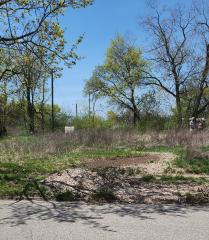 538 S Mifflin (Comb111&381-272), Lansing, MI