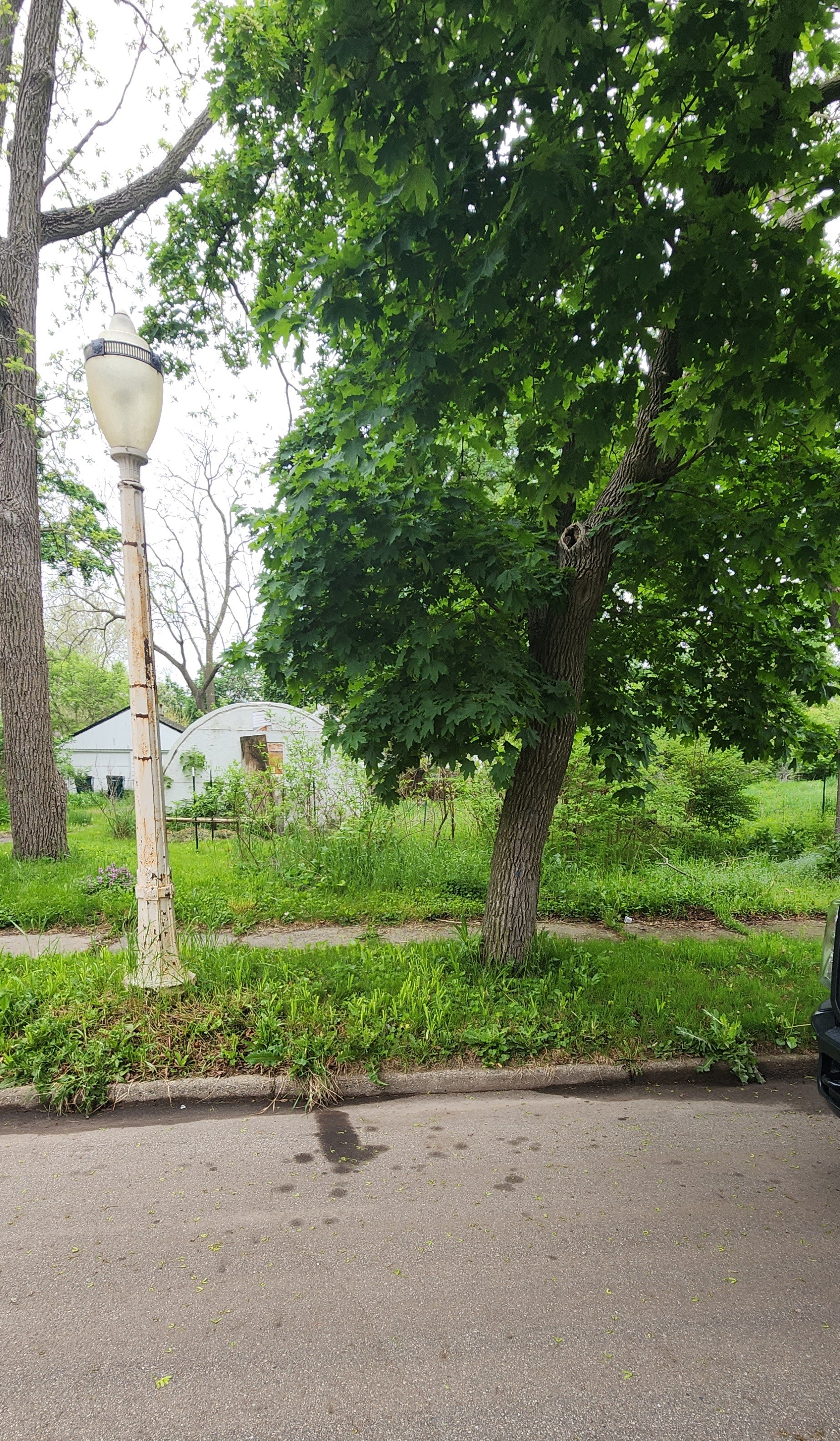 S. Francis Avenue