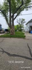 1310 Jerome St (Vacant Lot), Lansing, MI