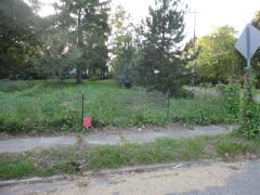 Allen St, Lansing, MI