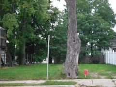 Baker St (511), Lansing, MI