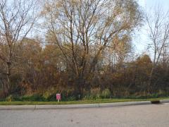 Foxborough Dr, Williamston, MI
