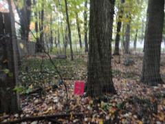 Van Atta (Land Locked), Okemos, MI