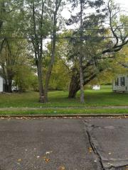Mary Avenue, Lansing, MI