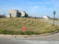 Cambridge, Williamston, MI