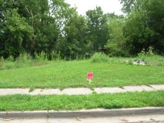 Isbell (~208, Triangle), Lansing, MI
