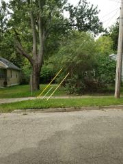 S Magnolia Ave, Lansing, MI